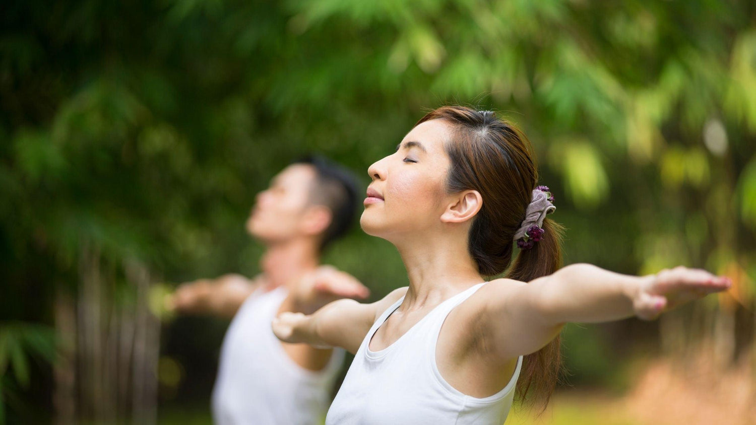 Using the Ancient Art of Tai Chi to Find Your Balance - Montreal Fitness